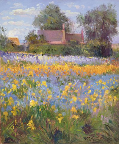 The Enclosed Cottages in the Iris Field by Timothy Easton